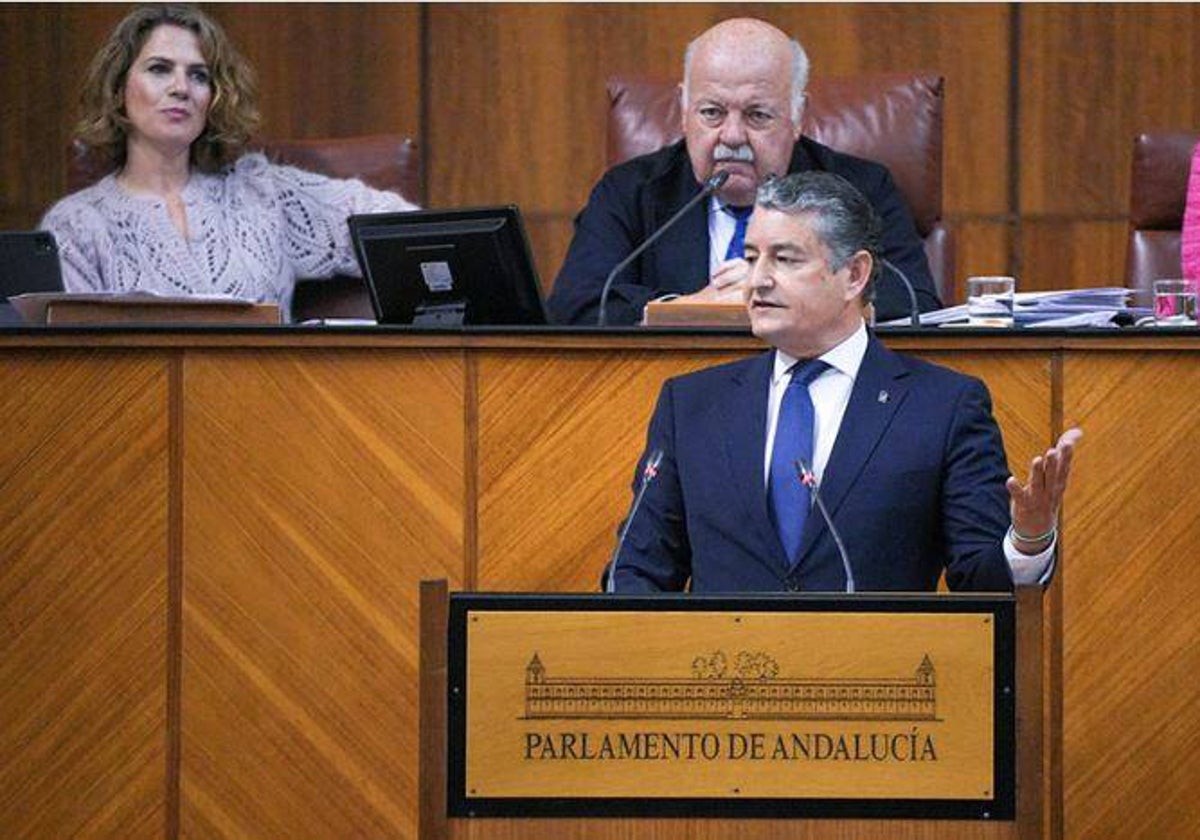 Antonio Sanz ha comparecido en el Pleno del Parlamento