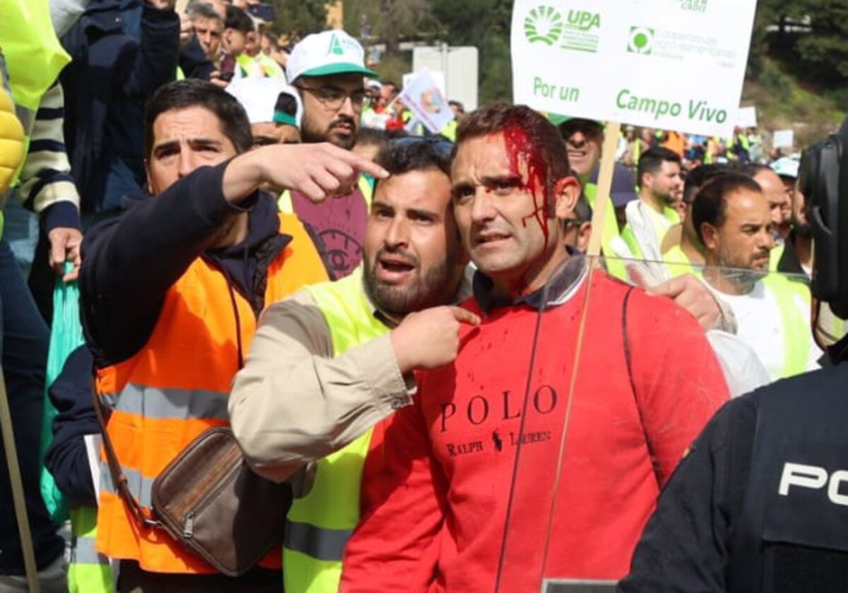 Agricultor ensangrentado en las protestas agrarias, a 22 de febrero de 2024, en Algeciras.