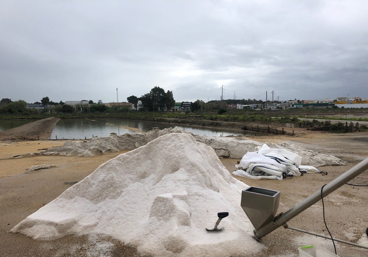 Salinas Bartivás, en Chiclana.