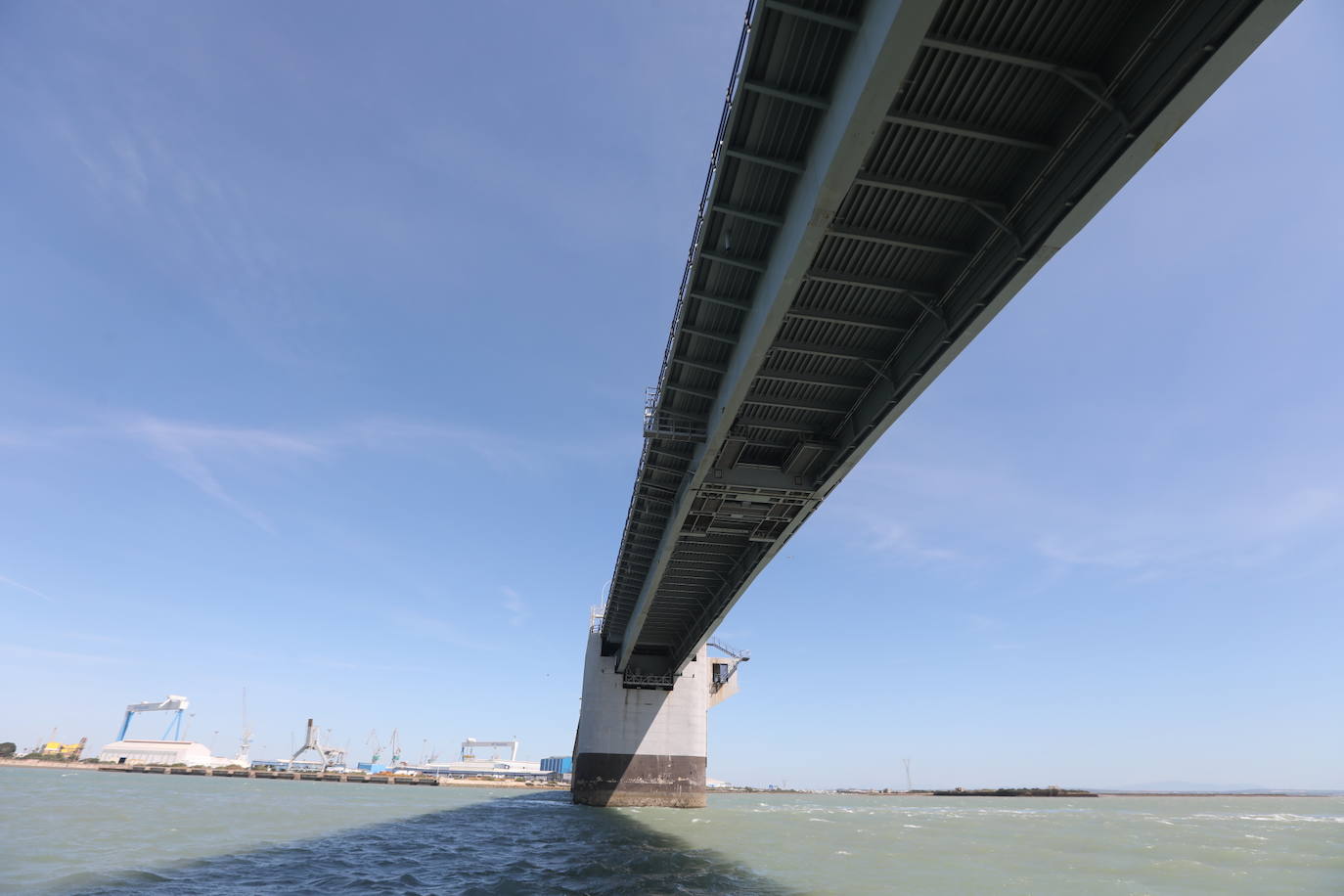 Fotos, debajo del Puente Carranza: así se ve el coloso bajo el mar