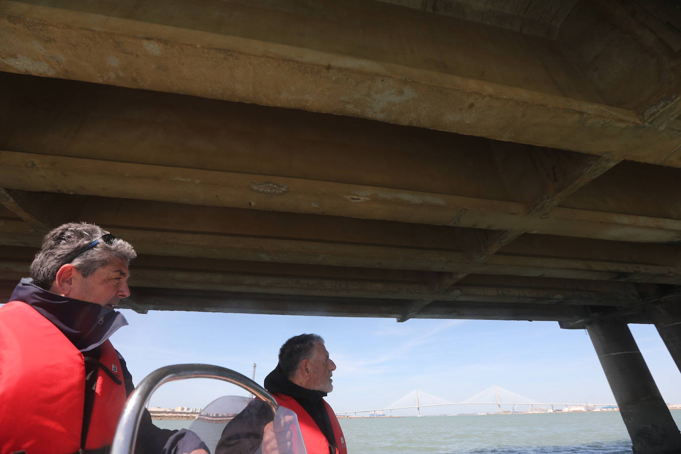 Fotos, debajo del Puente Carranza: así se ve el coloso bajo el mar