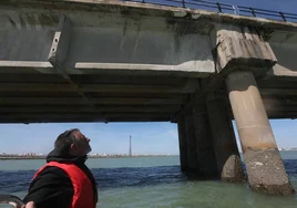 Fotos, debajo del Puente Carranza: así se ve el coloso bajo el mar