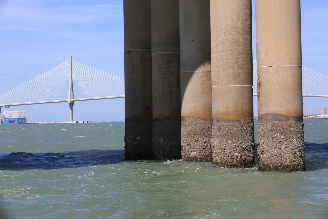 Fotos, debajo del Puente Carranza: así se ve el coloso bajo el mar