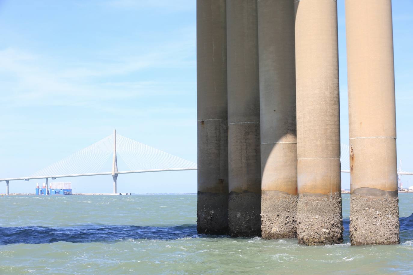 Fotos, debajo del Puente Carranza: así se ve el coloso bajo el mar