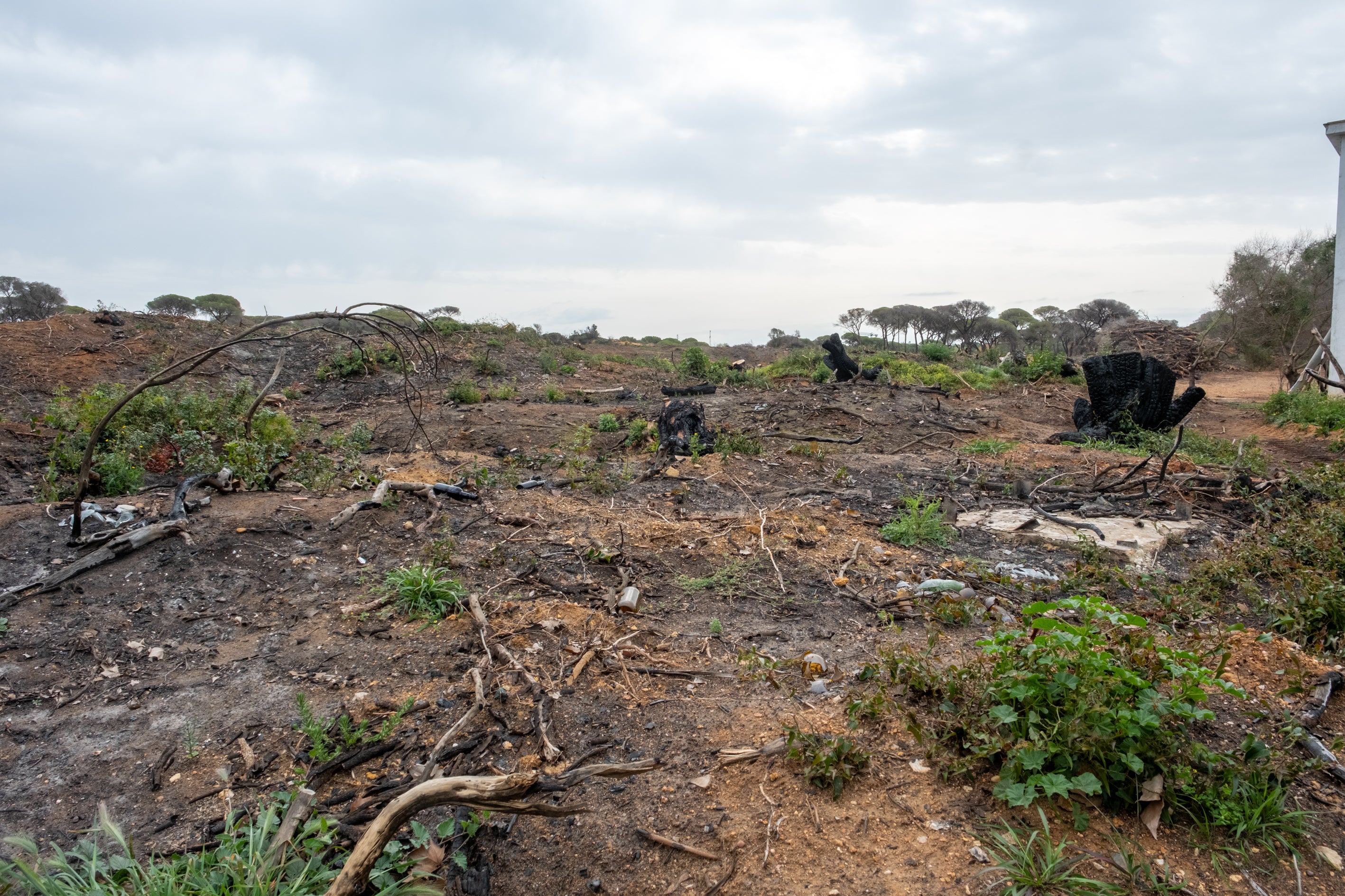 Fotos: Así está Las Canteras siete meses después del incendio