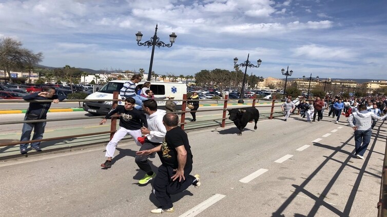 La suelta de toros protagoniza el Domingo de Resurrección en varios municipios de la provincia de Cádiz