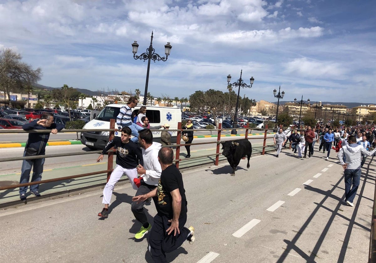 Los Barrios y Benamahoma aplazan sus festejos de la suelta de toros en prevención ante la meteorología adversa.