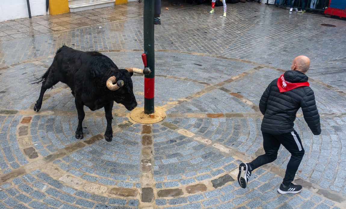 Fotos: Vejer celebra el Toro Embolao