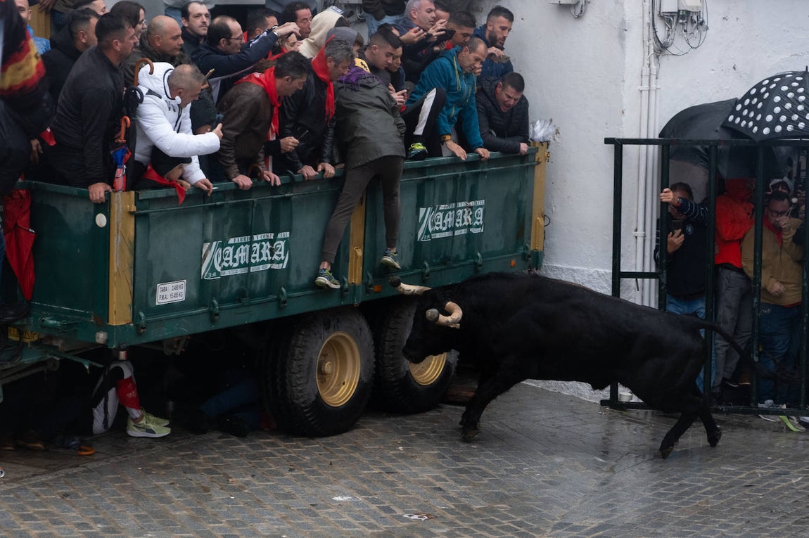 Fotos: Vejer celebra el Toro Embolao