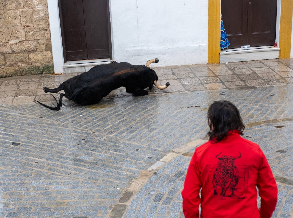 Fotos: Vejer celebra el Toro Embolao