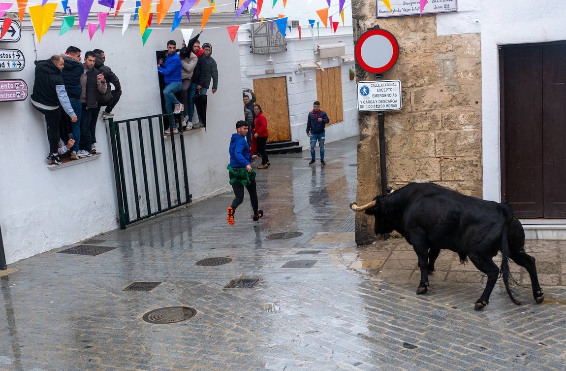Fotos: Vejer celebra el Toro Embolao