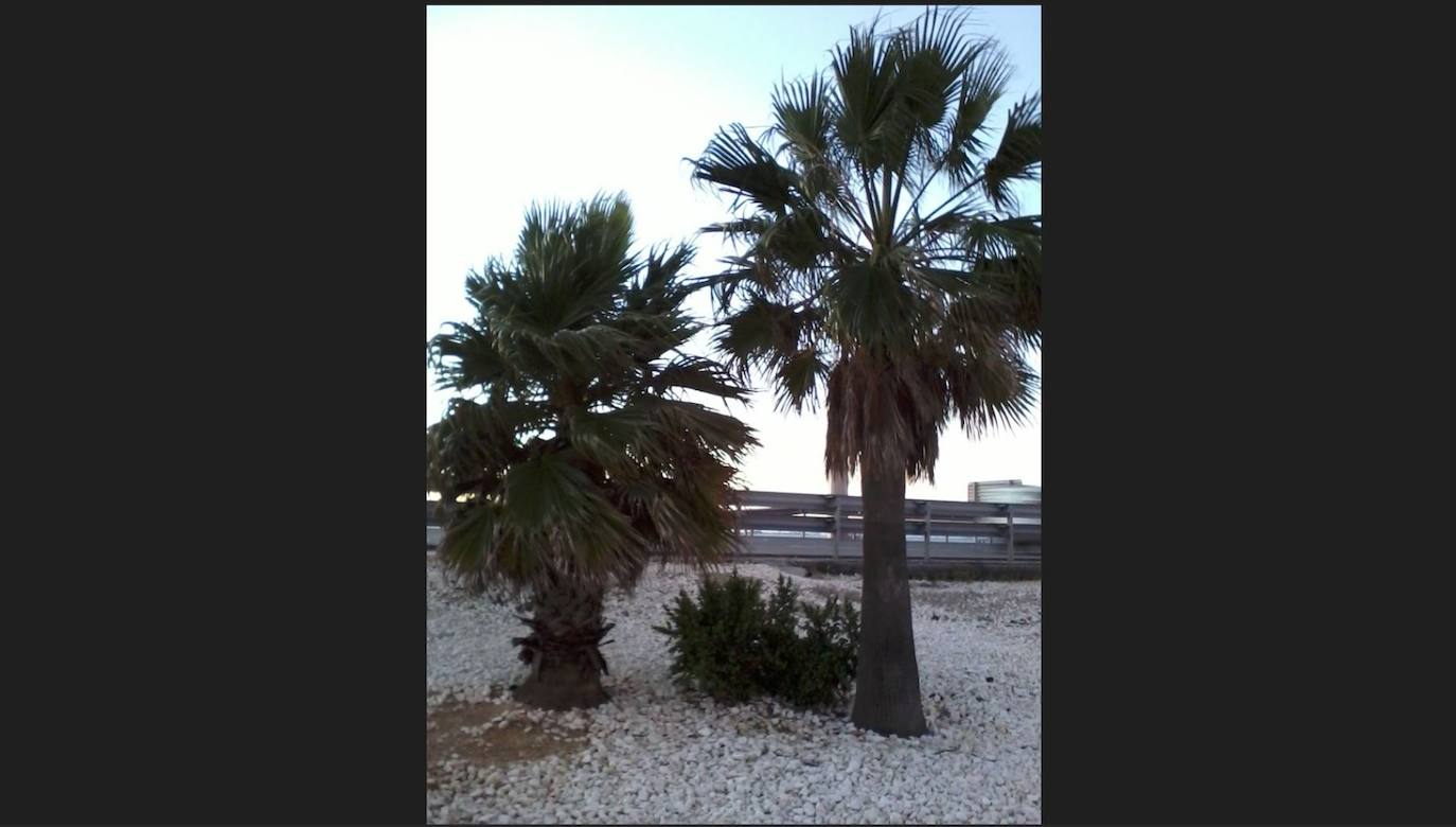Fotos: los Reyes de España presiden el acto de entrega de las Medallas de Oro al Mérito en las Bellas Artes