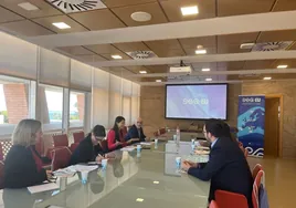 La UCA implica a los ayuntamientos de Algeciras, Cádiz, Jerez y Puerto Real para fortalecer sus relaciones con SEA-EU