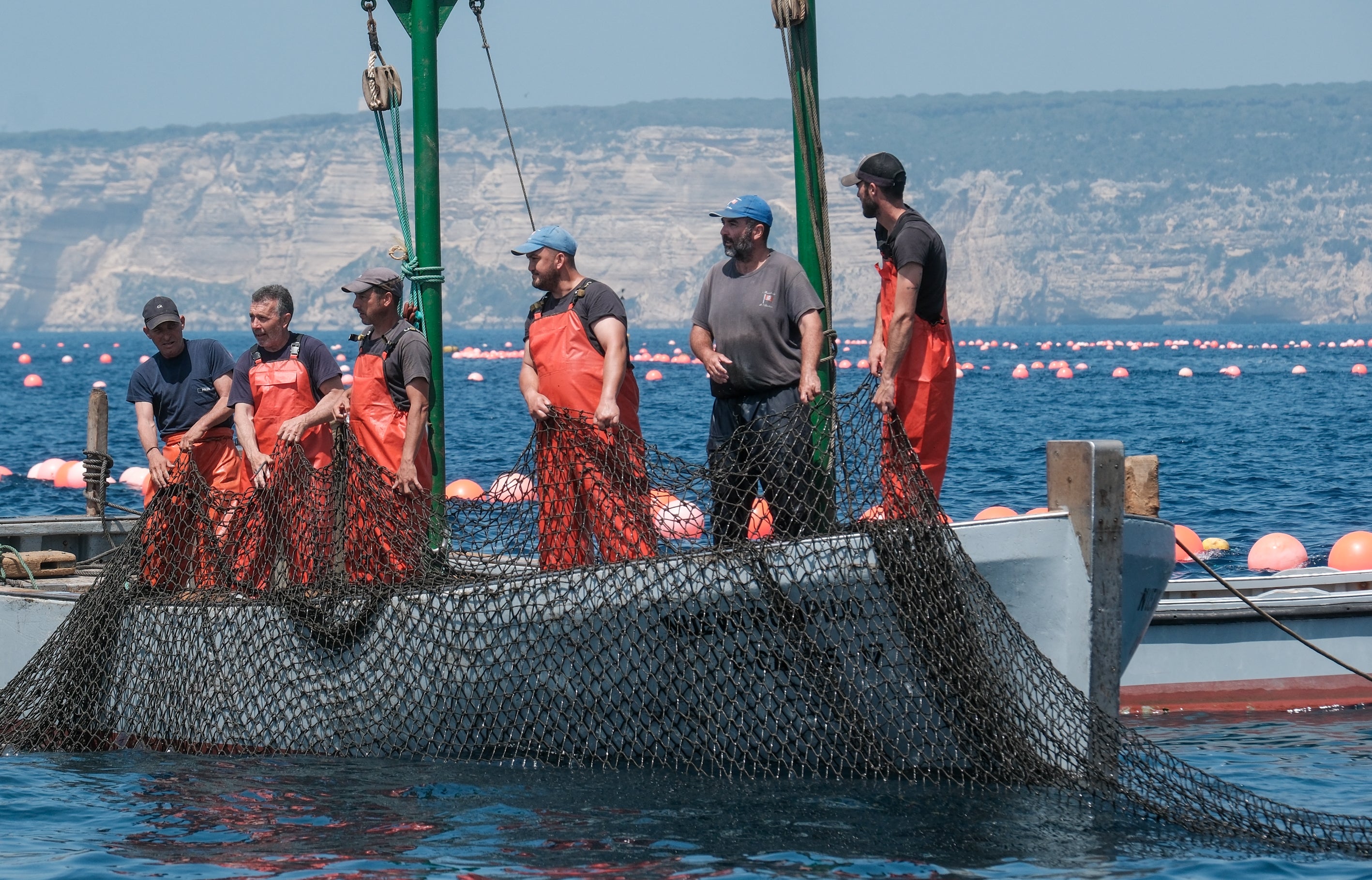 Fotos: Las imágenes de la &#039;levantá&#039; de Petaca Chico en Barbate