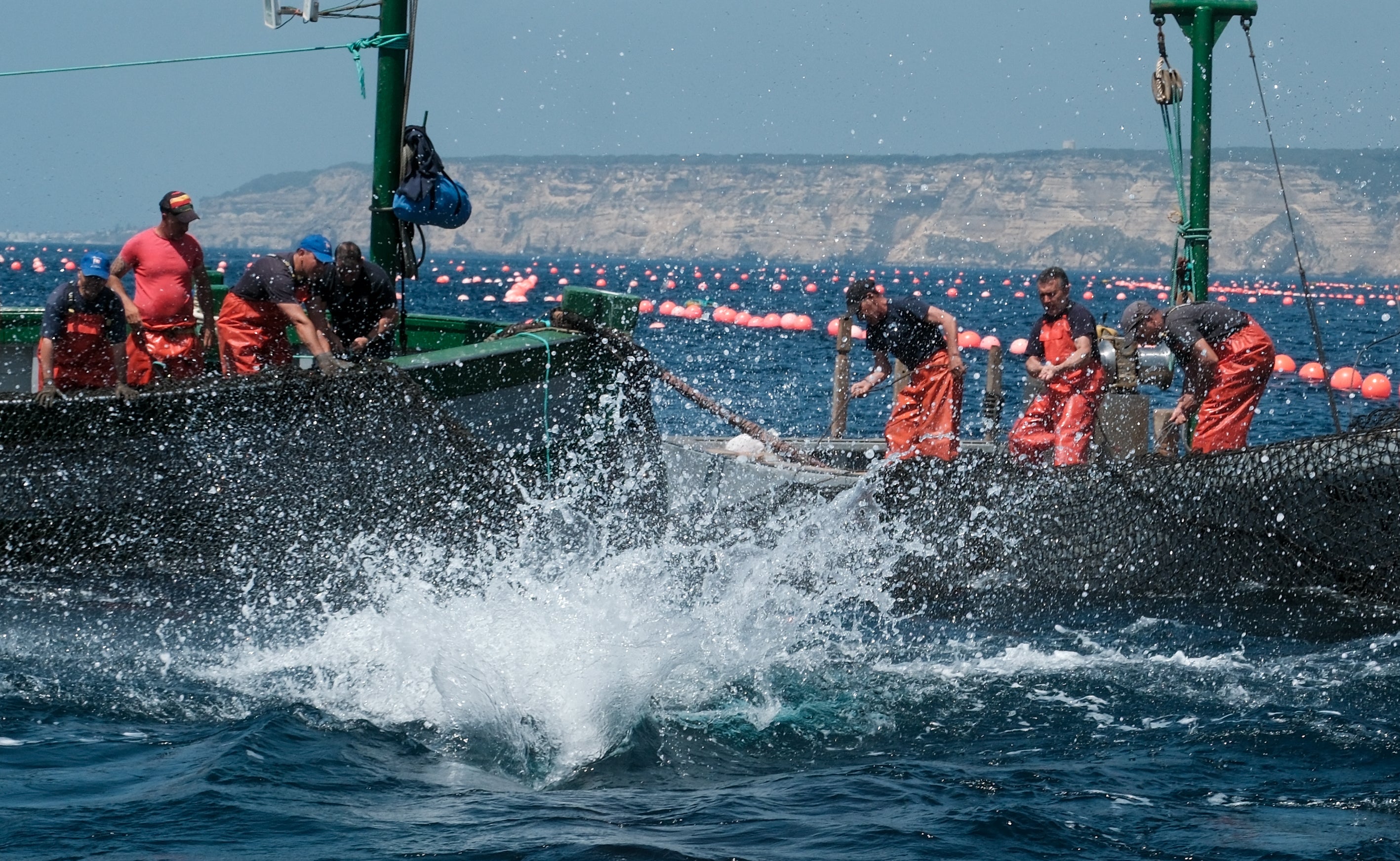 Fotos: Las imágenes de la &#039;levantá&#039; de Petaca Chico en Barbate