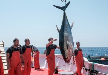 'Levantá' del atún de Petaca Chico