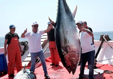 Primera 'levantá' de atunes de Petaca Chico en Barbate