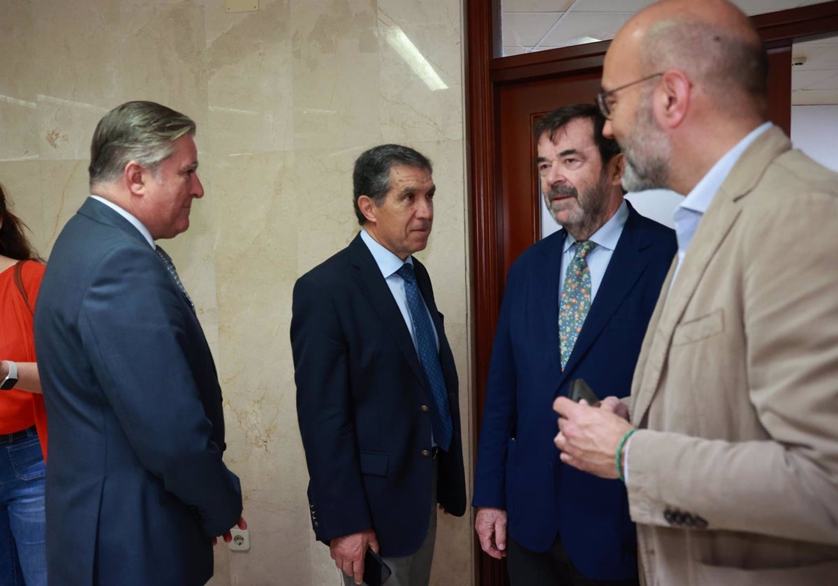 El presidente del Consejo General del Poder Judicial (CGPJ), Vicente Guilarte, junto al presidente del TSJA, Lorenzo del Río, en la Audiencia Provincial de Cádiz y el presidente de la Audiencia gaditana, Manuel Estrella.