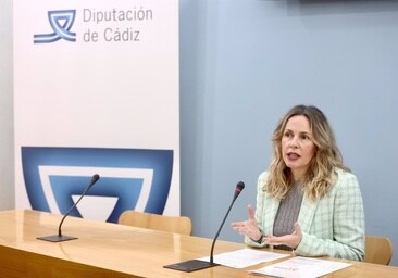 Diputación destina 155.000 euros a proyectos culturales