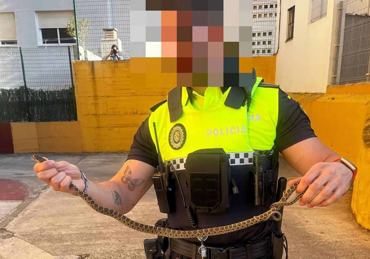 Dos serpientes de más de un metro de largo causan la alarma en Algeciras