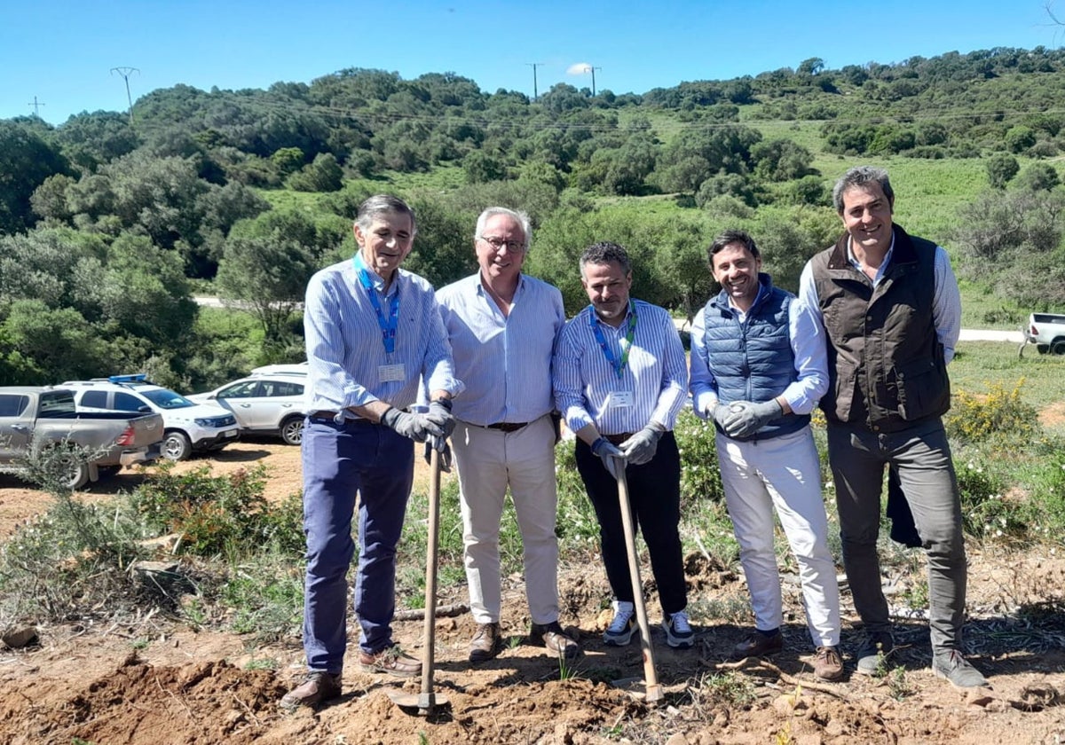 Una iniciativa repuebla con 2.400 árboles el monte La Alcaidesa, afectado por un incendio forestal en 2016