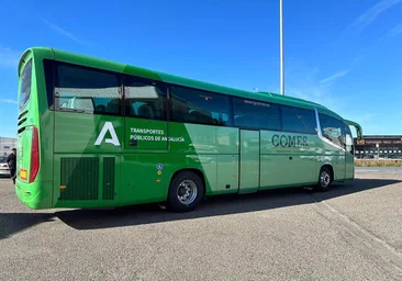 Por salud y educación: cambios en los horarios de varias rutas de autobús en Cádiz