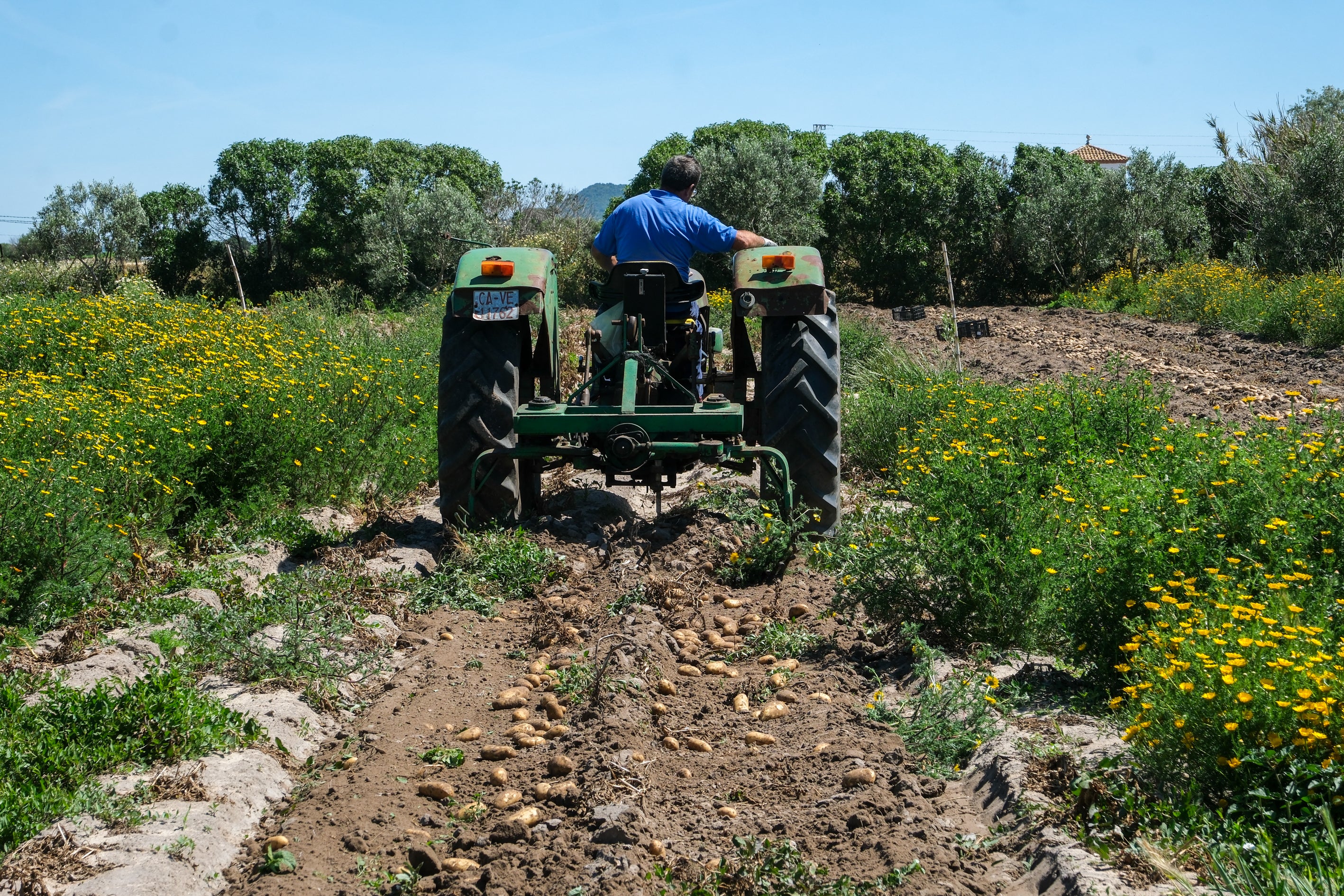 Fotos: Imágenes de una jornada de trabajo junto a los agricultores en El Palmar