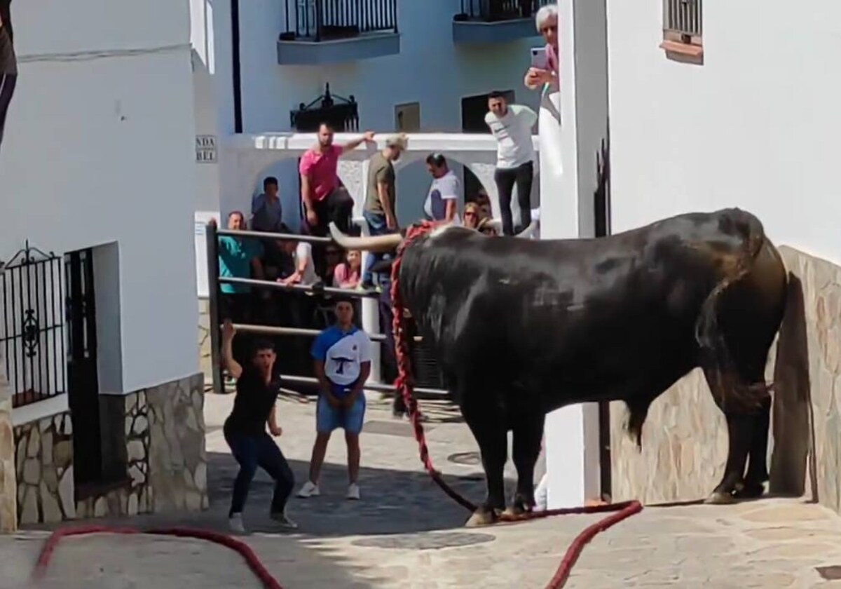 Dos heridos, uno de ellos trasladado grave al hospital, en el tradicional  Toro de Cuerda de