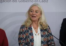 La respuesta sobre la elaboración del Plan Funcional del futuro hospital de Cádiz ha sido «un error»