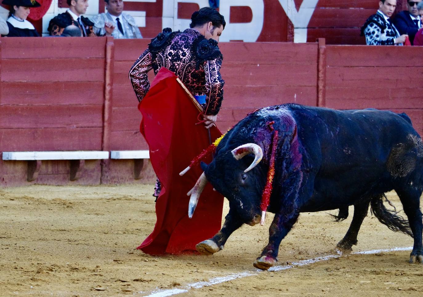 Fotos: Morante, Castella y Manzanares cierran la Feria del Caballo de Jerez