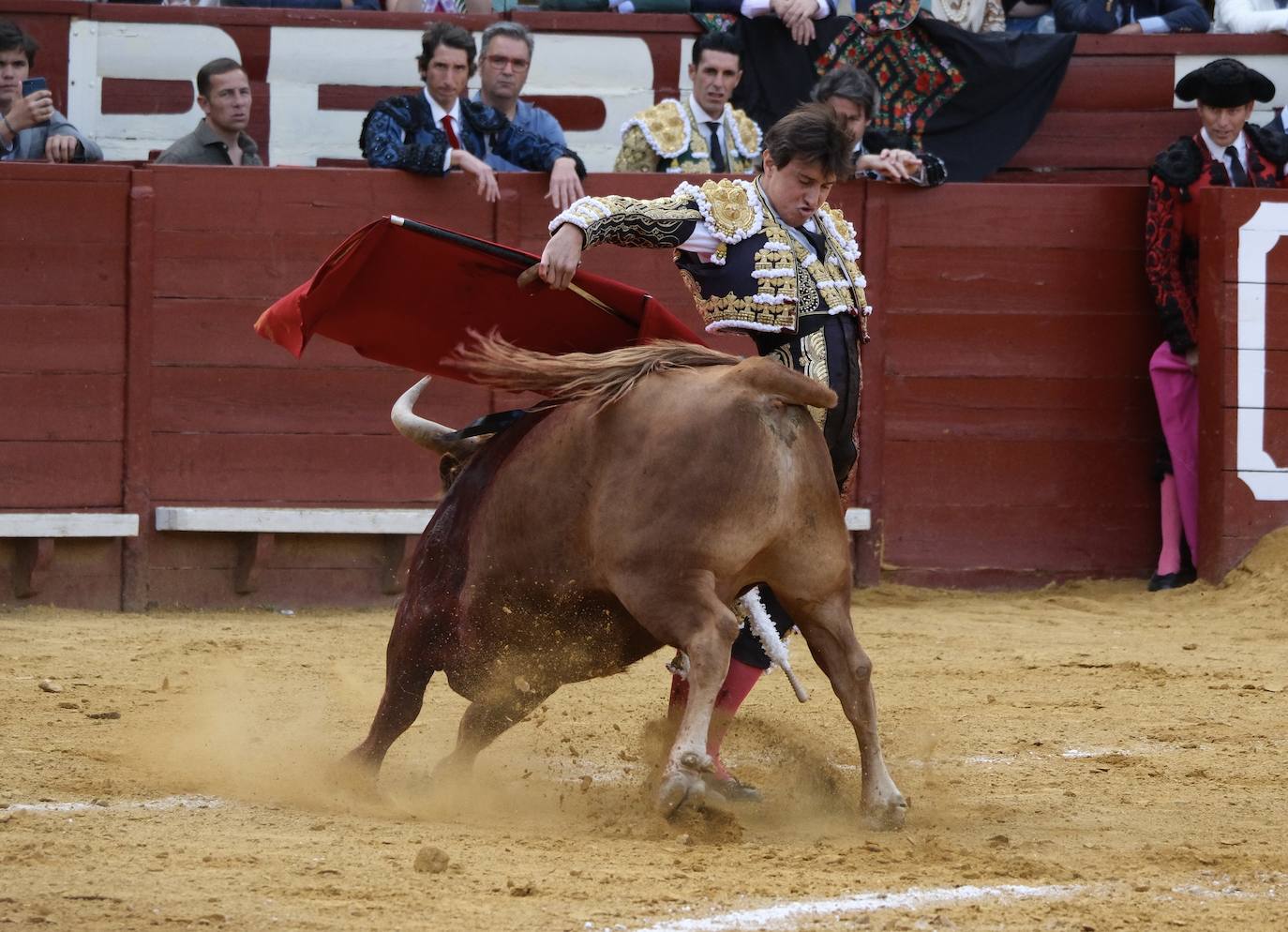 Fotos: Alejandro Talavante, Roca Rey y Pablo Aguado en la Feria de Jerez