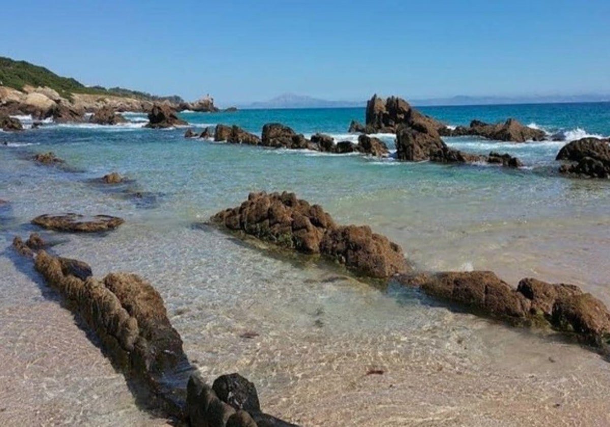 Piscina natural de Bolonia.