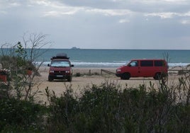 La playa canina de Torregorda, en Cádiz, ya cuenta con la autorización de la Junta