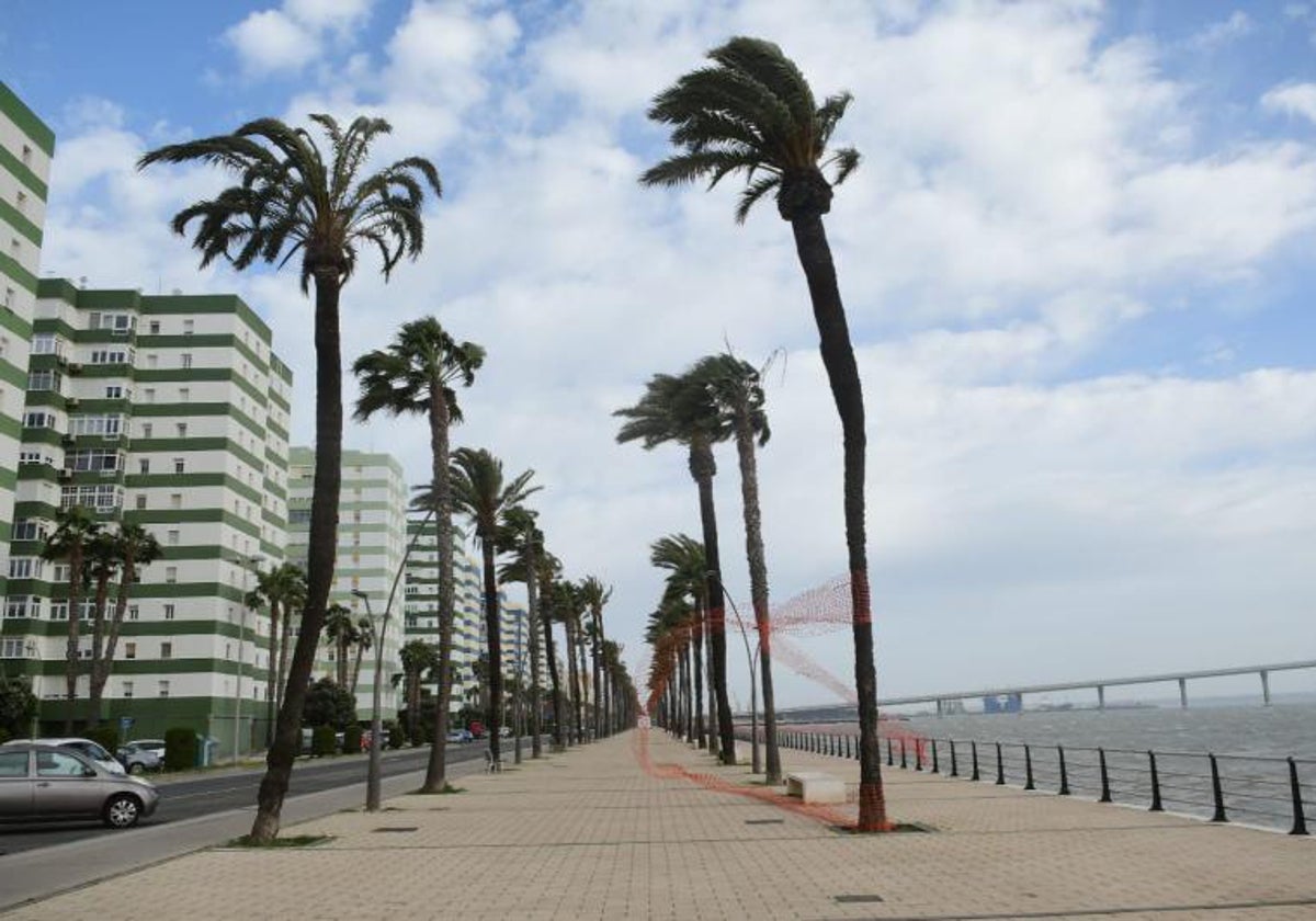 Activada la alerta amarilla por viento de levante en Cádiz