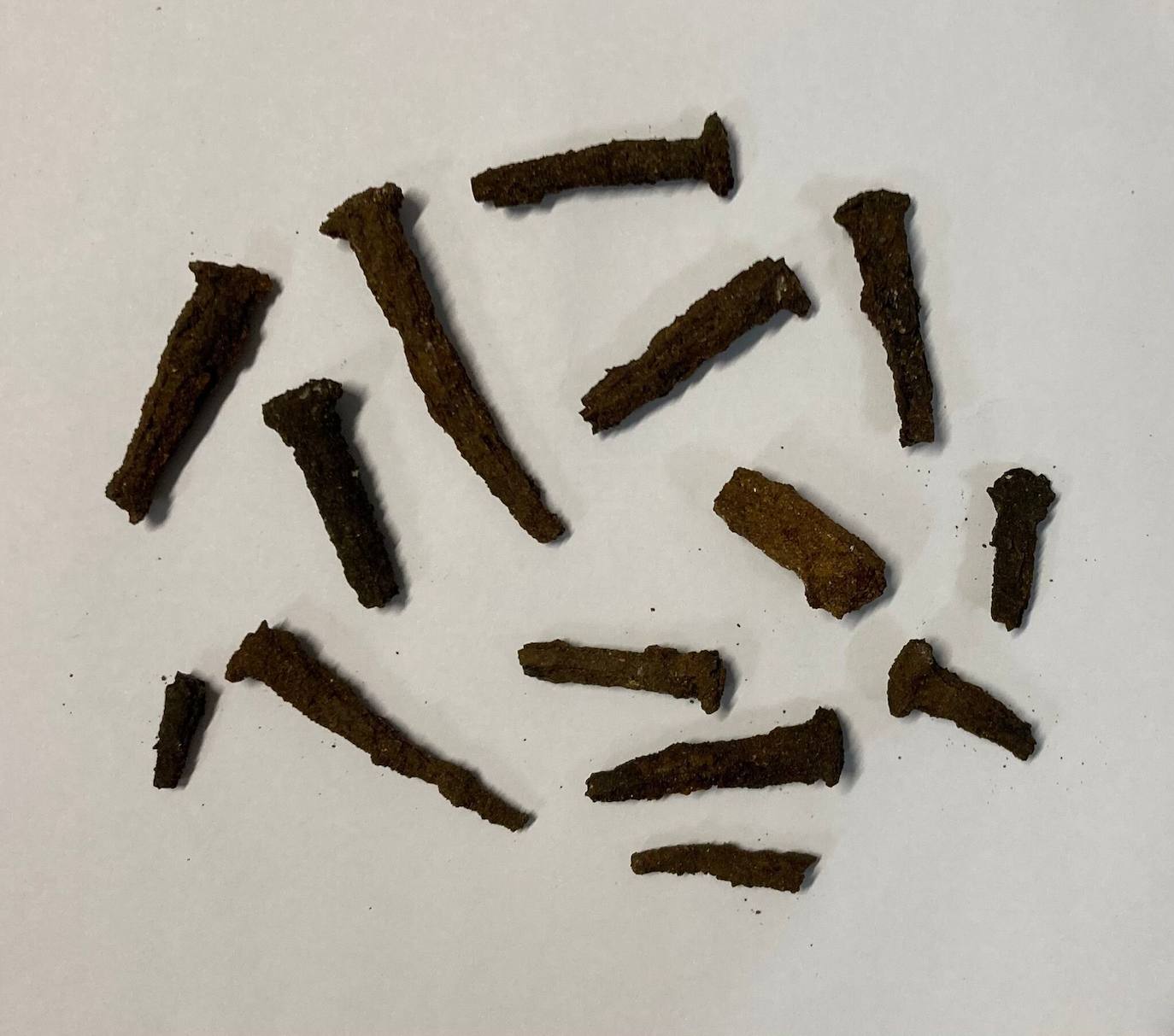 Fotos: restos romanos y fenicios en Marqués de Cropani en Cádiz