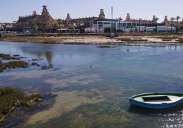 La riqueza natural de San Fernando a través de una guía de aves