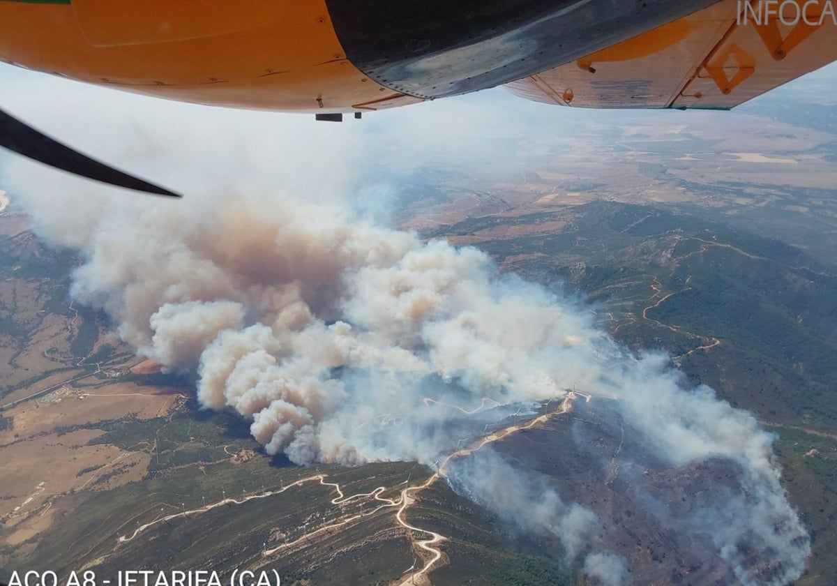 Cuatro investigados como presuntos autores del incendio de Tarifa