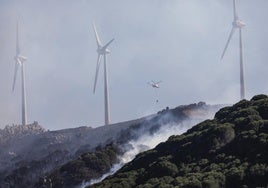 Los vecinos desalojados por el incendio de Tarifa regresan a sus casas