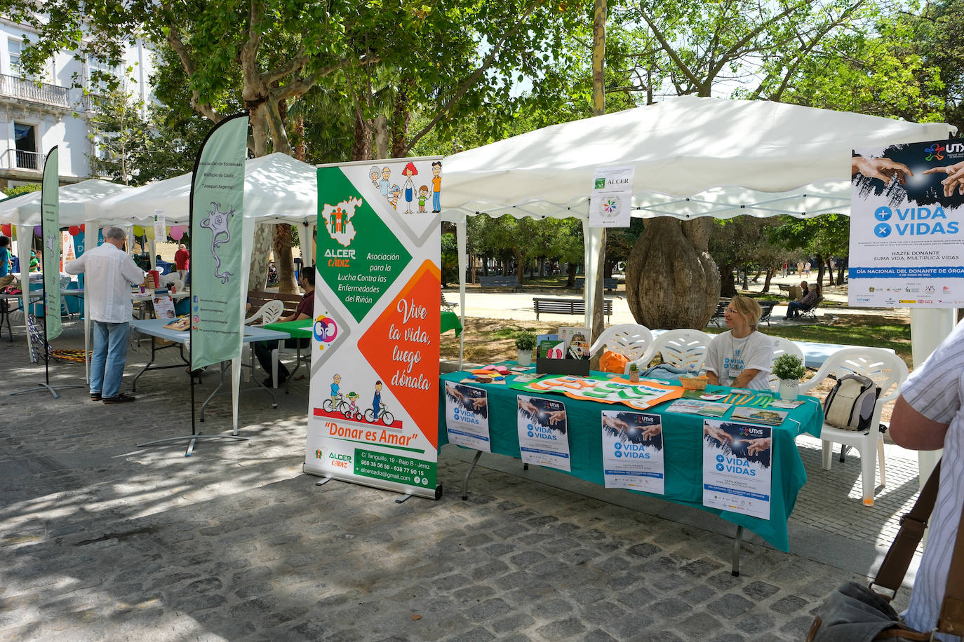 Fotos: Las imágenes de la Feria de Promoción de la Salud y Bienestar de Cádiz