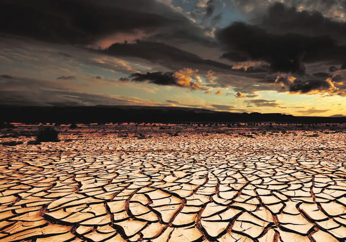 Cádiz acogerá el I Congreso Internacional contra el Cambio Climático