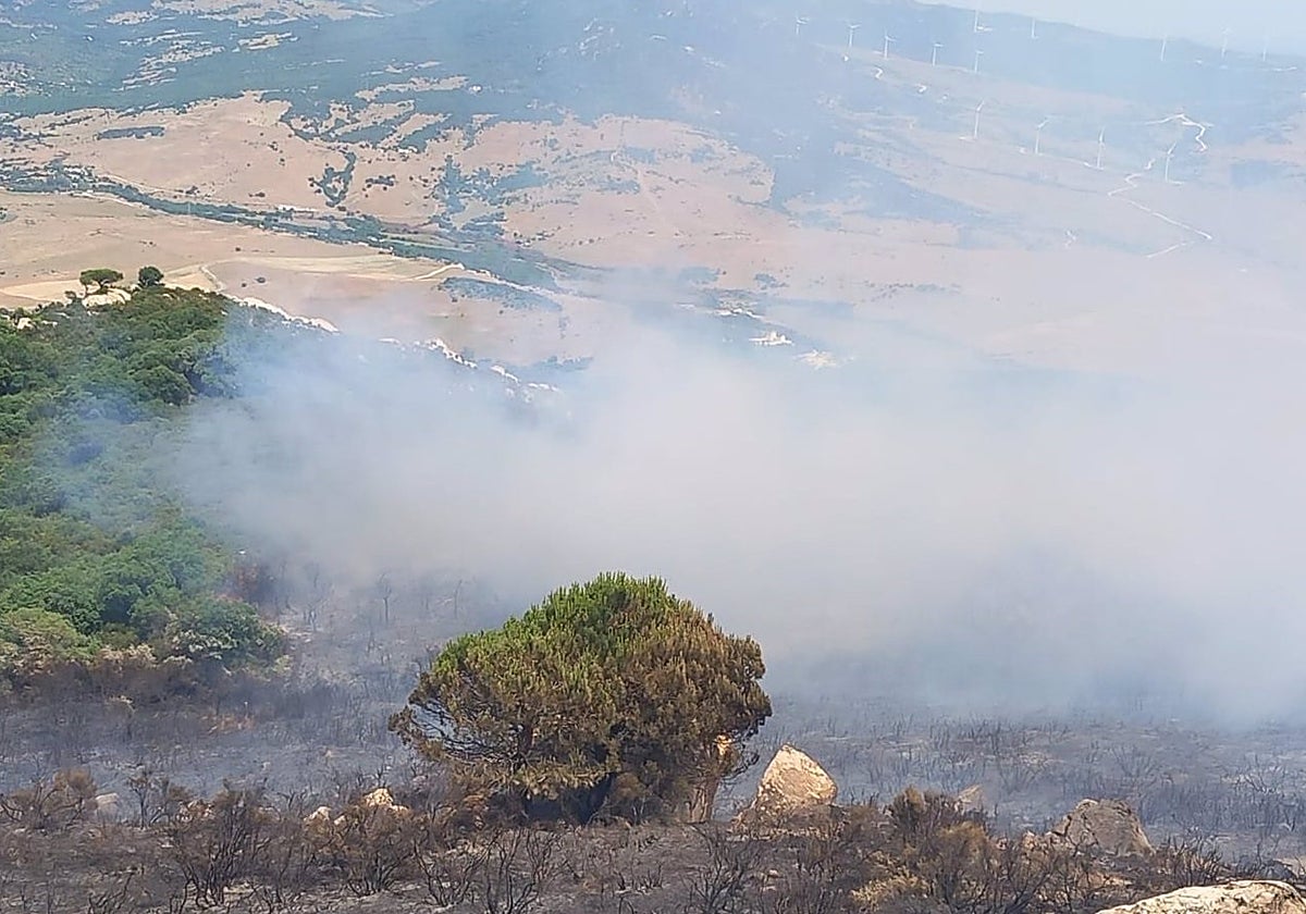 Continúa estabilizado el incendio en Tarifa donde trabajan 80 bomberos para su control