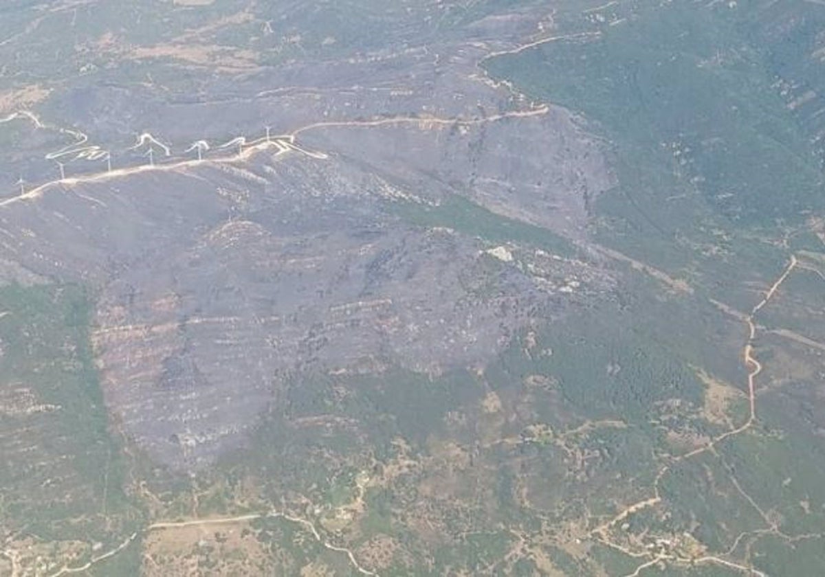 Controlado el incendio forestal de Tarifa