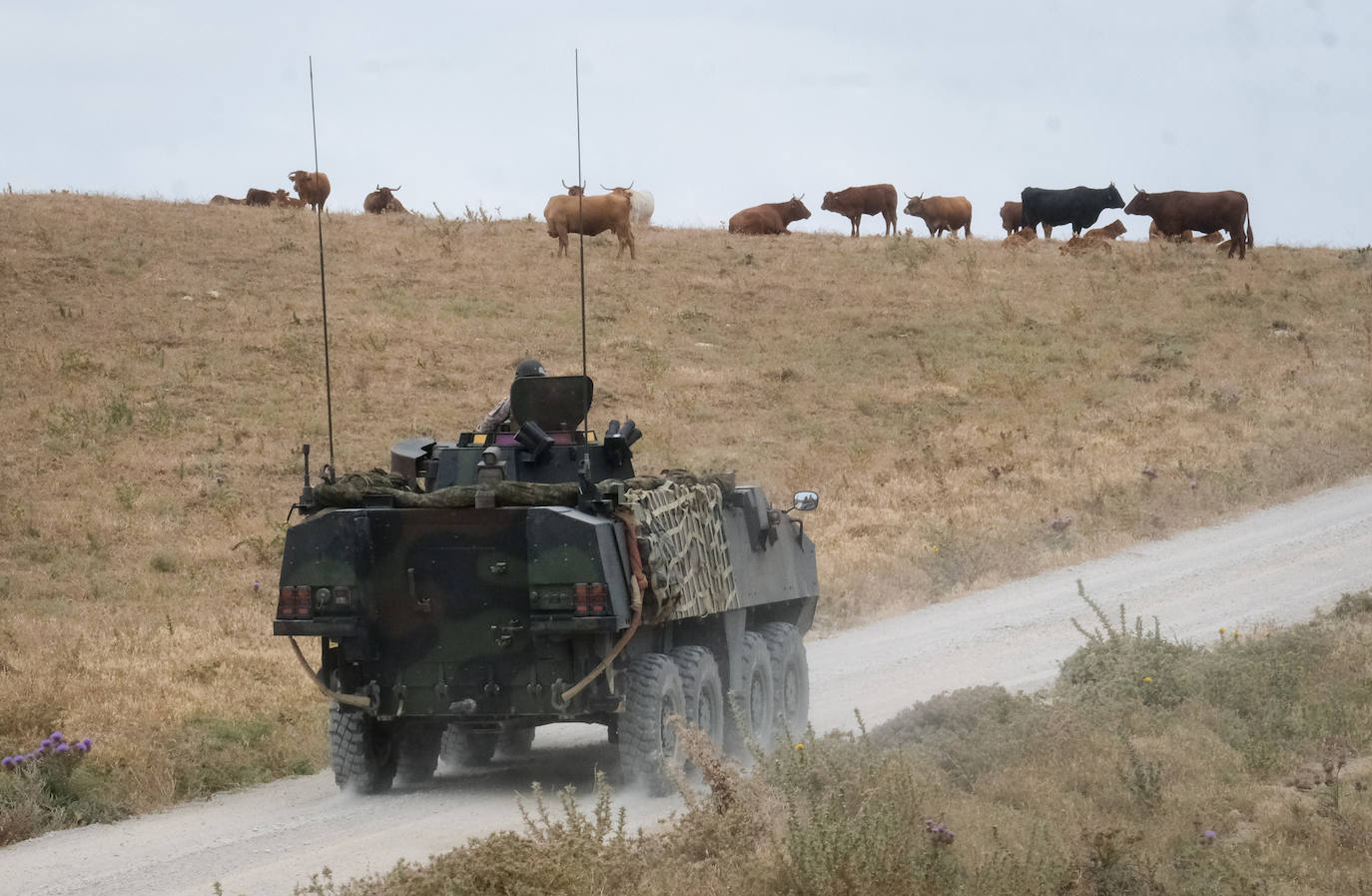 Fotos: Adiestramiento en El Retín para defender la frontera de Rumanía y Ucrania