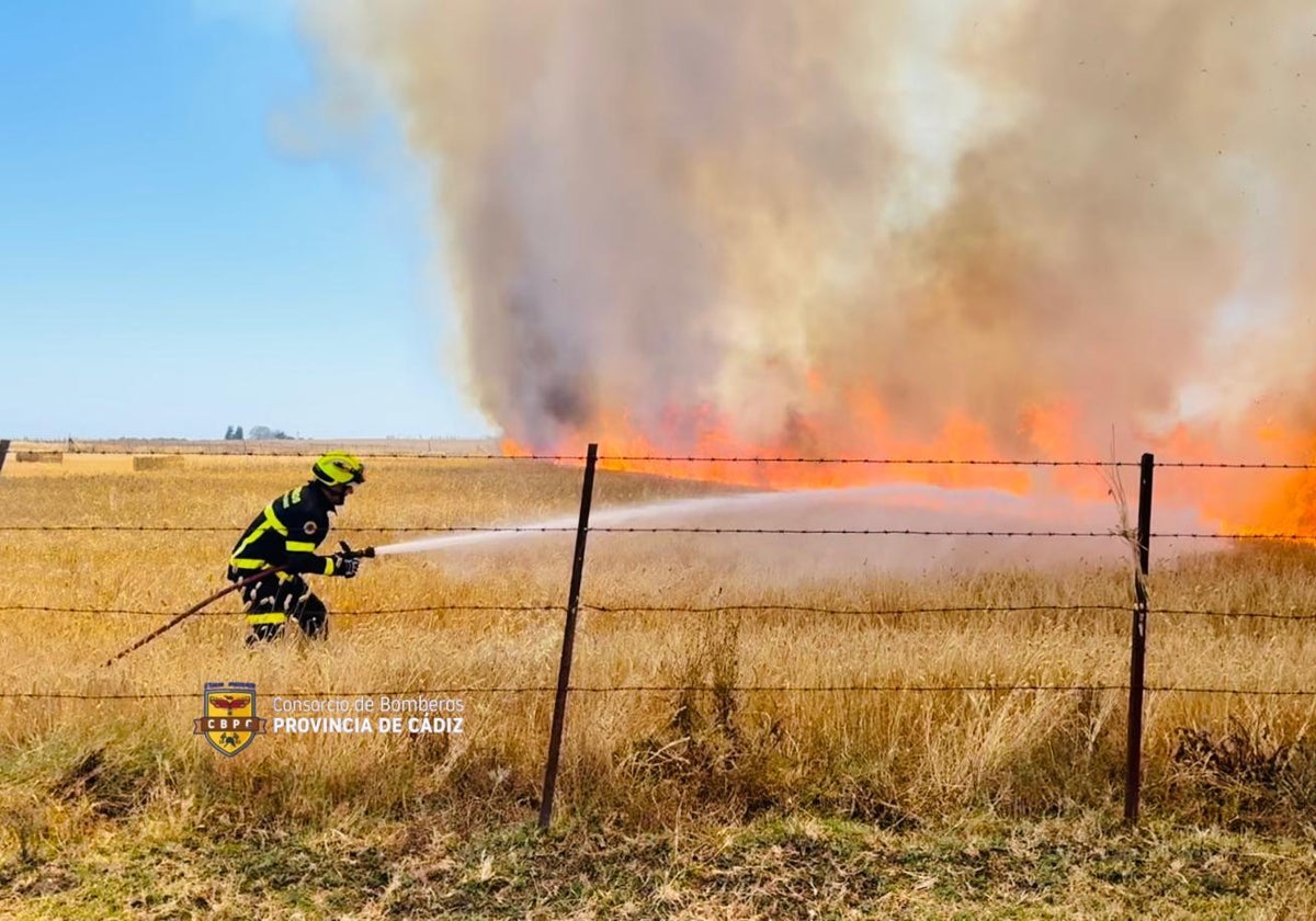 Un bombero sofocando el fuego en la zona conocida como la Campiña del Toro.