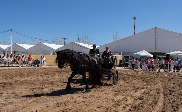 Concurso de enganches