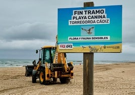 Cádiz capital ya tiene su playa canina