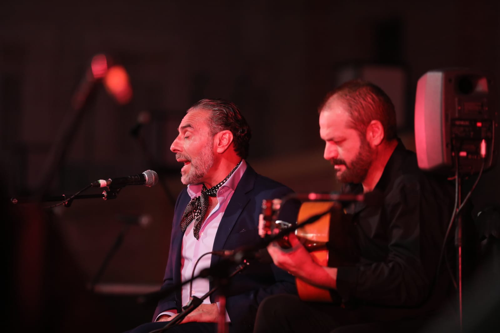 Fotos: Concierto homenaje a Camarón en San Fernando