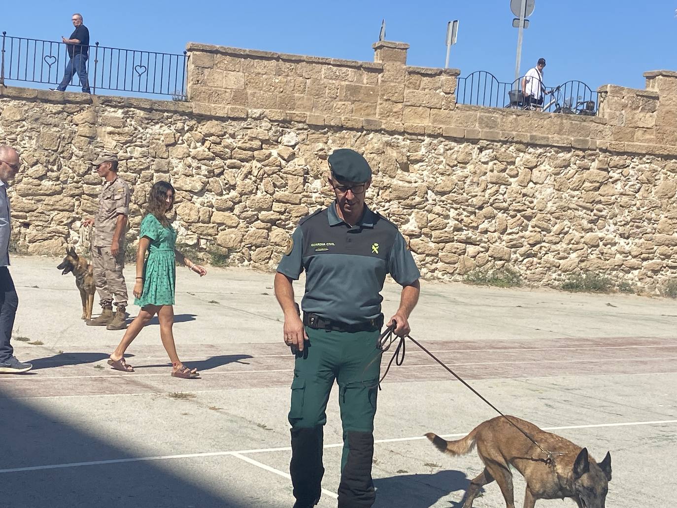 Los animales de compañía protagonizan la campaña sobre tenencia responsable de mascotas en Cádiz