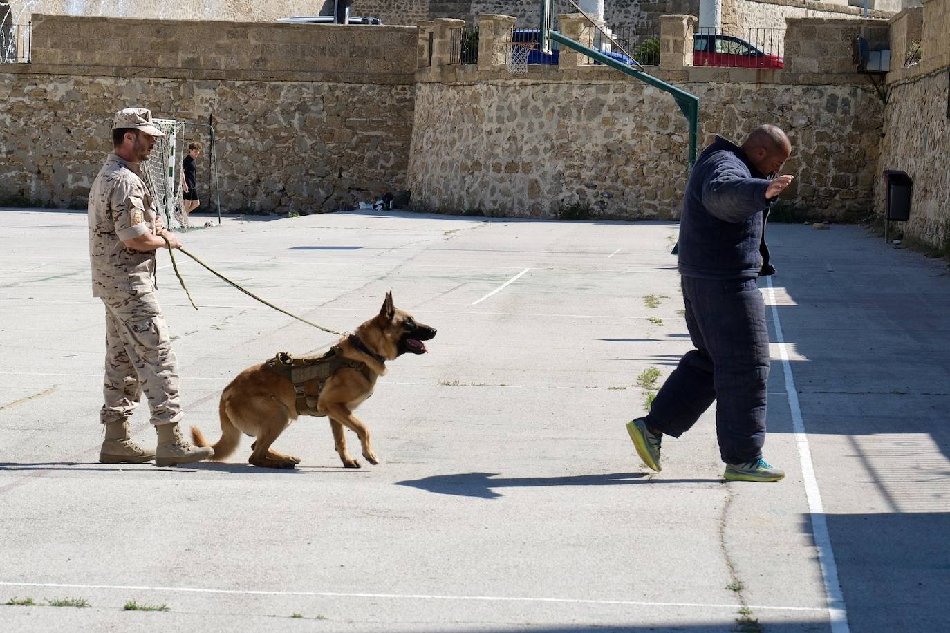 Los animales de compañía protagonizan la campaña sobre tenencia responsable de mascotas en Cádiz