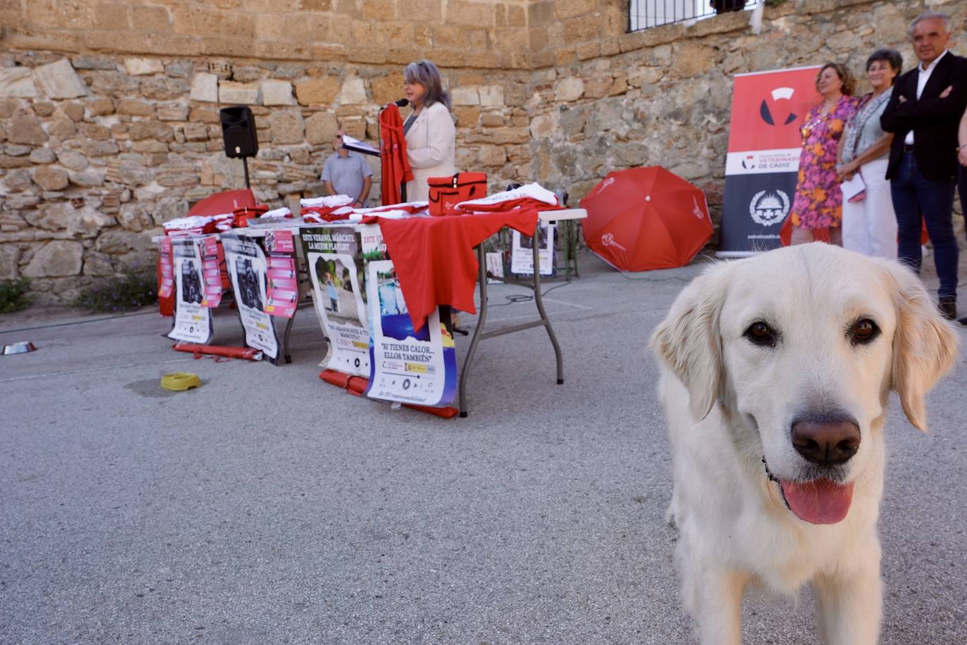 Los animales de compañía protagonizan la campaña sobre tenencia responsable de mascotas en Cádiz